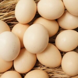 Nằm mơ thấy trứng gà điềm gì? Giải mã 7 điềm báo liên quan