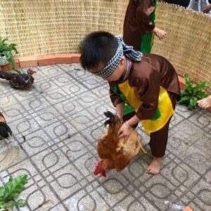 Mơ thấy bắt gà đánh con gì? Số may mắn của con gà: 32,02,17