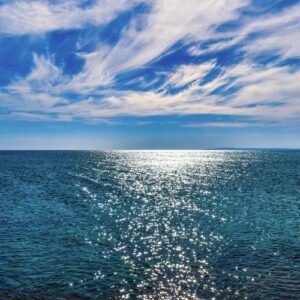 Mơ thấy biển đánh con gì? Vén bức màn của giấc mơ cùng Gi8