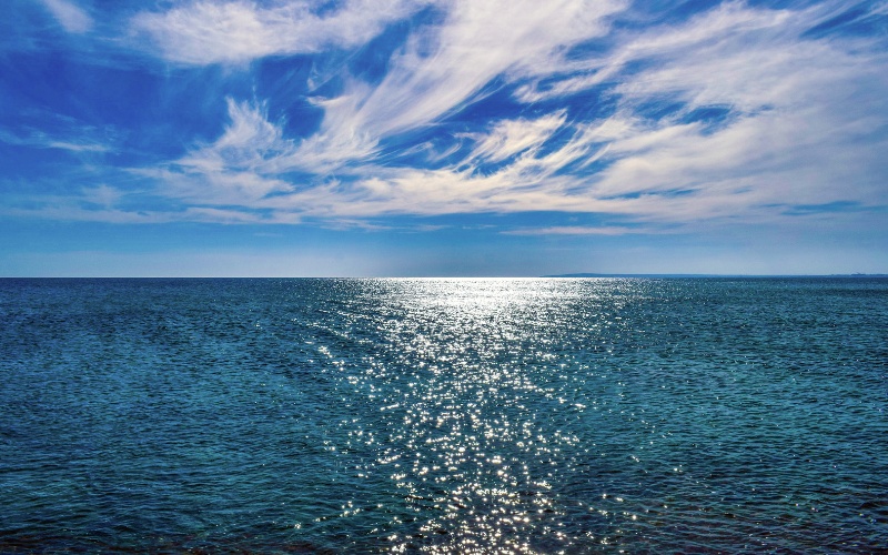 Mơ thấy biển đánh con gì? Vén bức màn của giấc mơ cùng Gi8