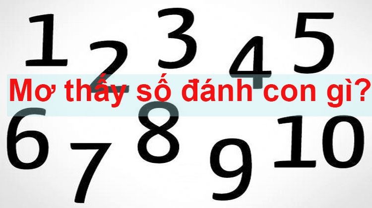 Mơ thấy con số đánh con gì? Giải mã mơ các con số cùng Gi8