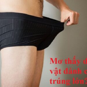 Mơ thấy dương vật đánh con gì? Bật mí 16 cặp số dễ trúng nhất