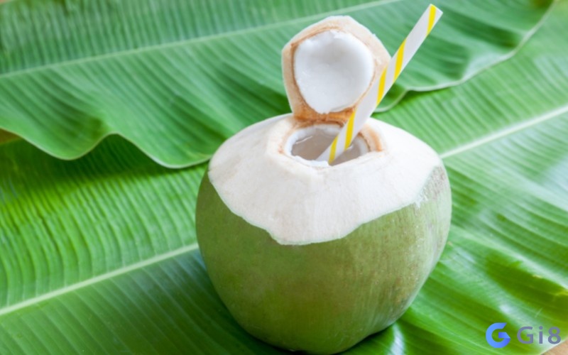 Quả dừa báo hiệu sự tốt lành và bình yên Quả dừa báo hiệu sự tốt lành và bình yên