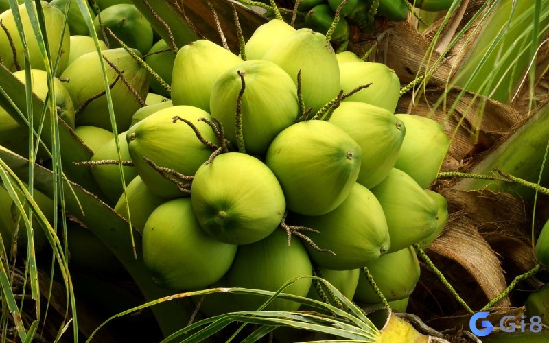 Chiêm bao cho thấy bạn sẽ có một thử thách mới Chiêm bao cho thấy bạn sẽ có một thử thách mới