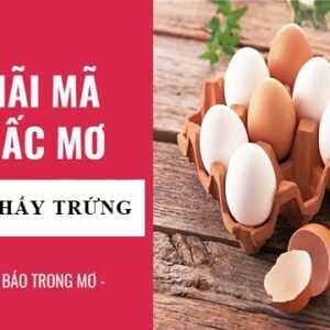 Mơ thấy trứng gà đánh con gì chuẩn? Cùng gi8 tìm hiểu ngay