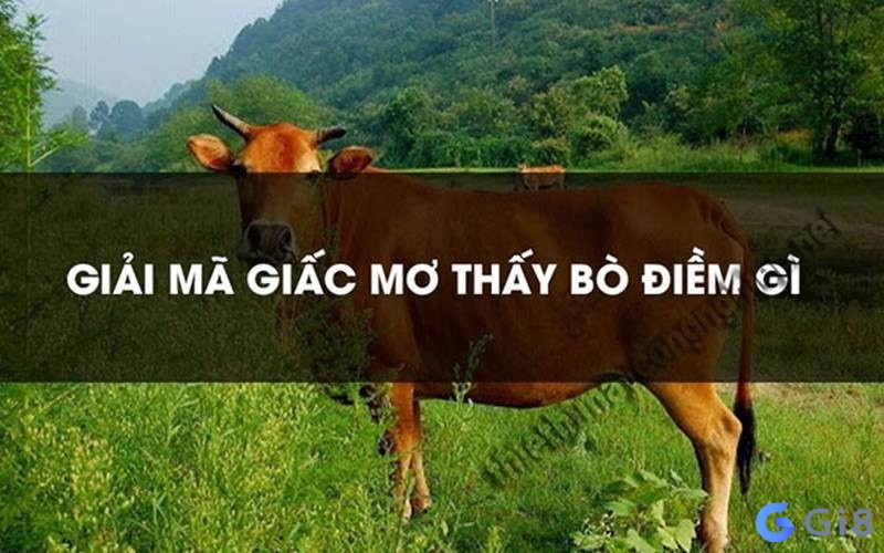 Giải mã điềm báo giấc mơ khi thấy bò Nằm mơ thấy con bò đánh con gì? Gi8 giải mã các con số đề