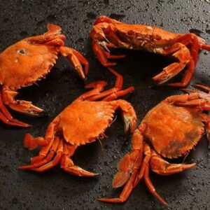 Nằm mơ thấy cua đánh gì? Giải mã 7 tầng giấc mơ liên quan