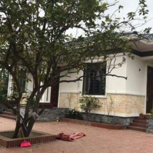 Nằm mơ thấy nhà cũ của mình | Bật mí 9 cặp số nên đánh