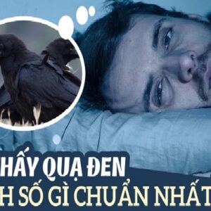 Nằm mơ thấy quạ đen báo hiệu điều gì? Cùng gi8 giải mã