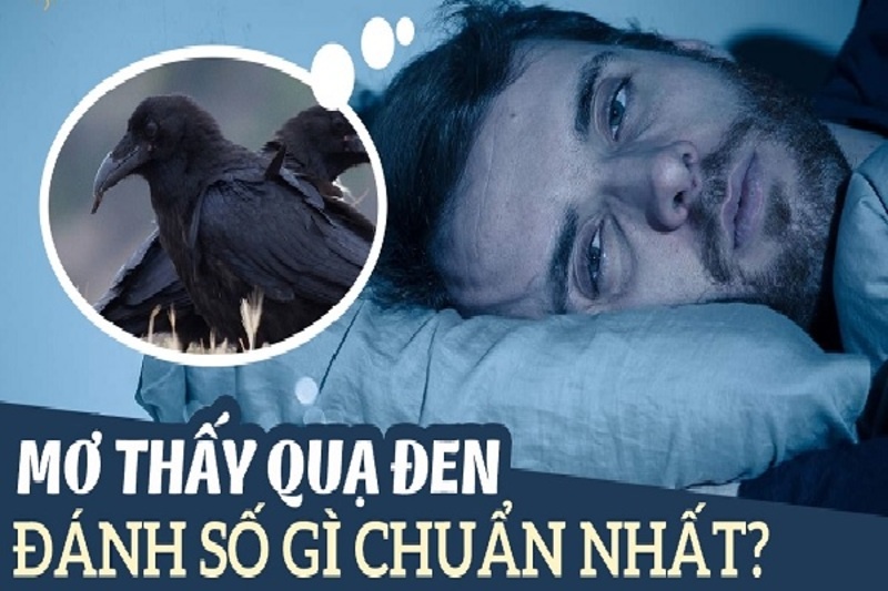 Nằm mơ thấy quạ đen báo hiệu điều gì? Cùng gi8 giải mã