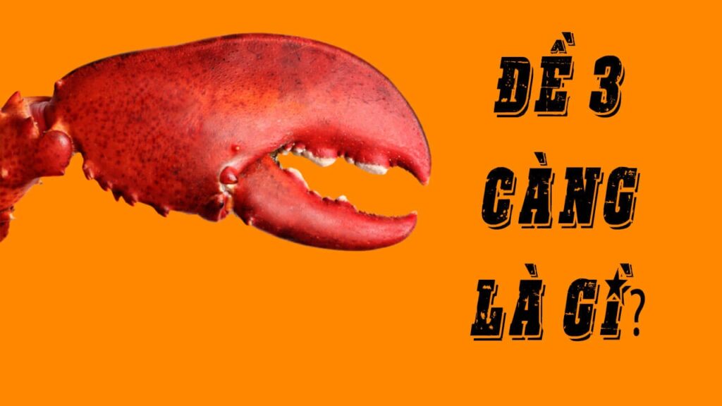 3 càng là như thế nào? Hướng dẫn cách chơi cực chuẩn