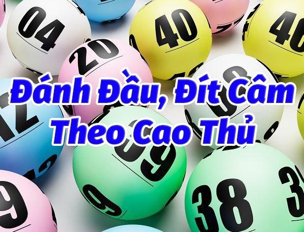Đầu lô câm đánh con gì trúng lô lớn? Giải đáp từ nhà cái Gi8