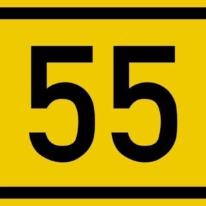 đề 55 hôm sau đánh con gì cho tỉ lệ thắng cao nhất?