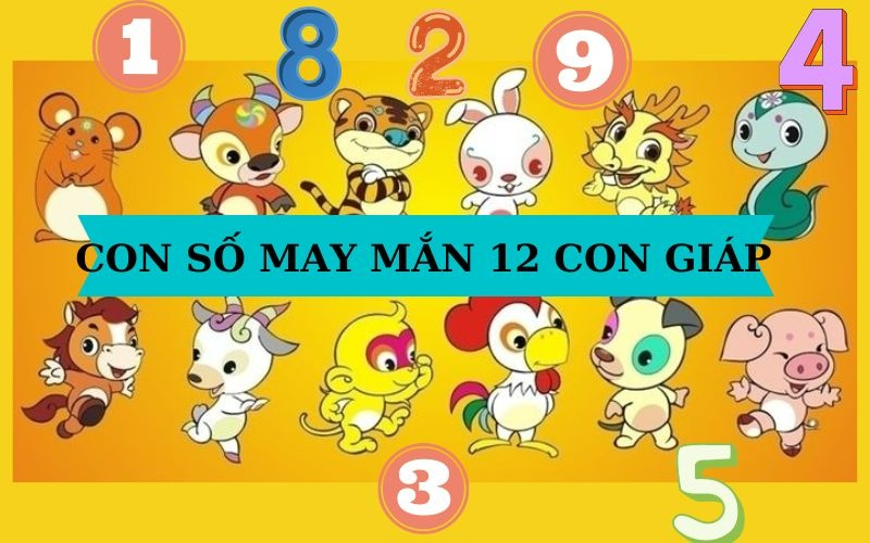 Số 12 con giáp | Cách soi cầu theo 12 con giáp bạn cần biết