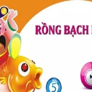 Cách soi cầu rồng bạch kim chuẩn xác với 5 bước đơn giản