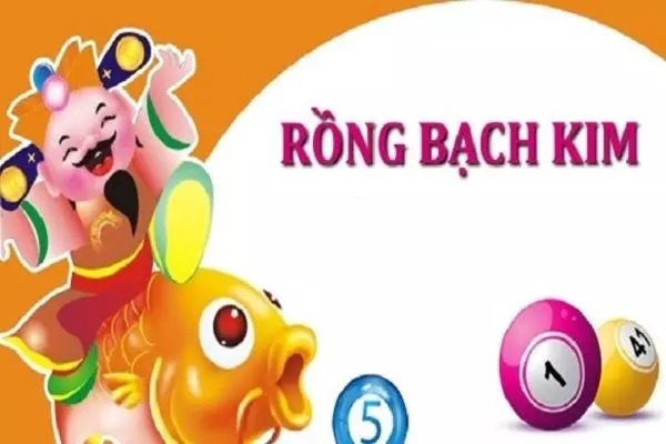 Cách soi cầu rồng bạch kim chuẩn xác với 5 bước đơn giản