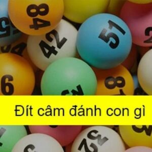 Dit lo cam danh con gi chuẩn nhất để có cơ hội trúng đậm 2023
