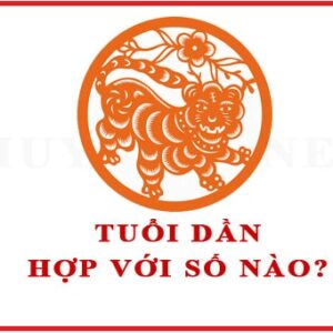 Số may mắn của tuổi dần, đánh số đề con gì hôm nay Gi8