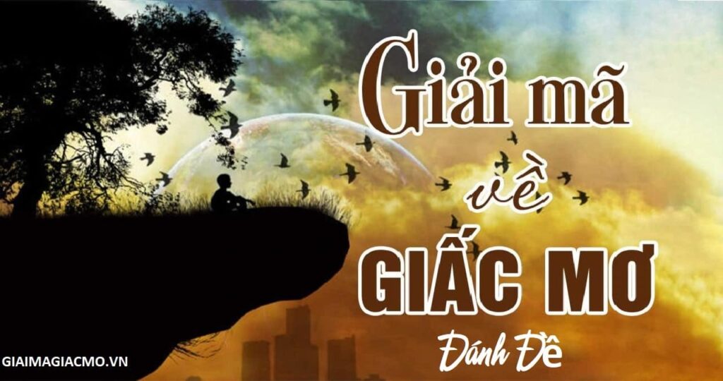 Giải mã giấc mơ đánh đề: Giấc mơ dự báo về các con số
