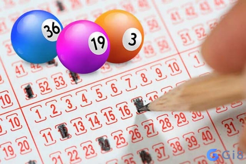 Cách nuôi dàn de 20 số khung 5 ngày dựa vào tổng đề. Bí kíp nuôi dàn de 20 số khung 5 ngày chuẩn