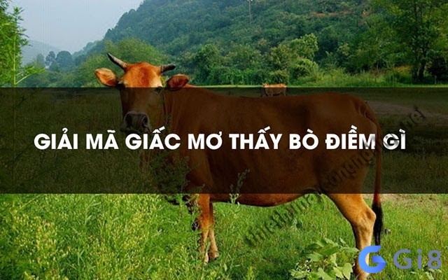 Khám phá ý nghĩa khi chiêm bao thấy bò