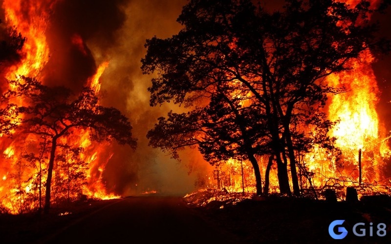 Chiêm bao thấy cháy - Giải mã với con số may mắn nhất