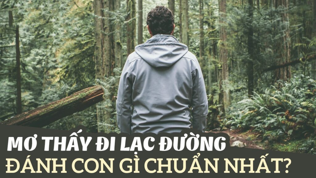 Chiêm bao thấy đi lạc đường, ý nghĩa cụ thể, con số có thể đánh
