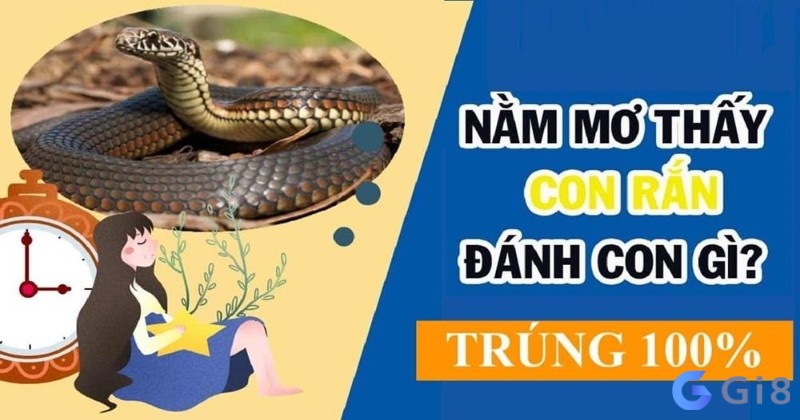 Chiêm bao thấy ăn thịt rắn đánh số nào dễ trúng và máy mắn? Chiêm bao thấy ăn thịt rắn đánh số nào dễ trúng và máy mắn?
