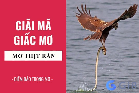 Ý nghĩa về chiêm bao thấy ăn thịt rắn Ý nghĩa về chiêm bao thấy ăn thịt rắn