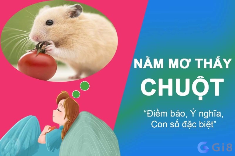 Ý nghĩa của việc chiêm bao thấy chuột theo phong thuỷ Ý nghĩa của việc chiêm bao thấy chuột