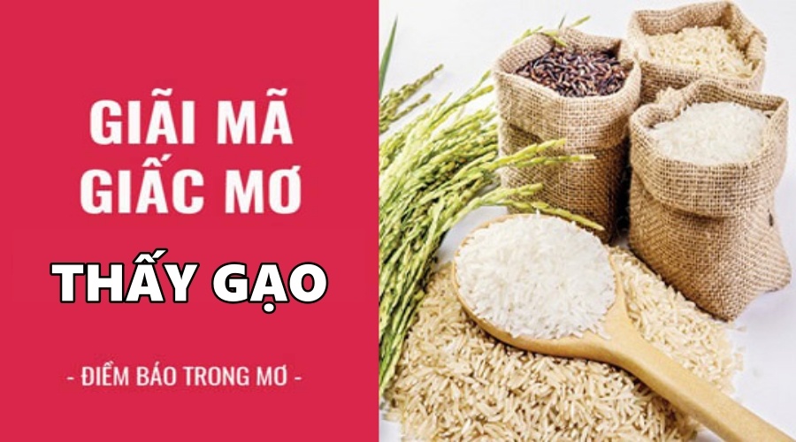 Mơ thấy gạo đánh con gì để giúp mọi lô thủ phát tài
