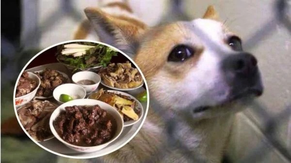 Mơ thấy làm thịt chó đánh con gì? Soi lô chính xác chỉ với 10s