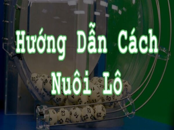 Nuôi lô là gì? Các hình thức nuôi lô phổ biến hiệu quả nhất