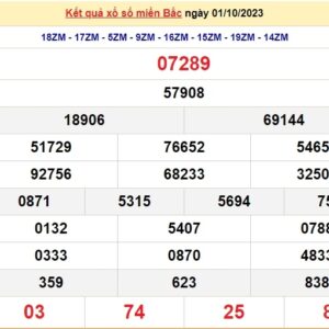 Xổ số rắn miền bắc là gì? Phương pháp chơi hiệu quả nhất