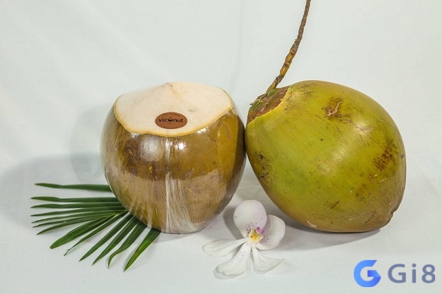 Quả dừa già trong giấc mơ nhắc nhở bạn về sự quan trọng của sự kiên nhẫn khi đối mặt với các tình huống khó khăn. Quả dừa già trong giấc mơ nhắc nhở bạn về sự quan trọng của sự kiên nhẫn khi đối mặt với các tình huống khó khăn.