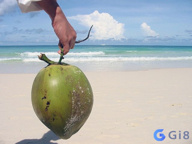 Mộng thấy dừa trên biển thường mang ý nghĩa tích cực và khích lệ bạn đạt được sự hài lòng và cảm giác tự do trong cuộc sống. Mộng thấy dừa trên biển thường mang ý nghĩa tích cực và khích lệ bạn đạt được sự hài lòng và cảm giác tự do trong cuộc sống.