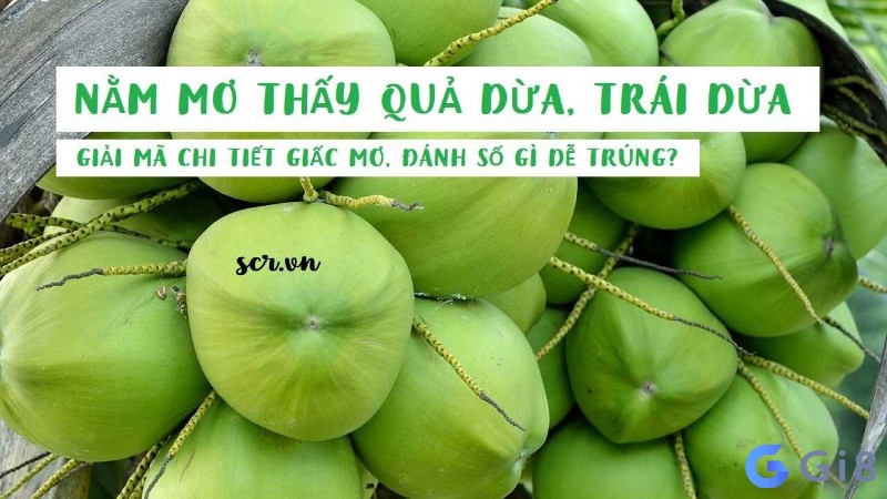 Khám phá mơ thấy quả dừa đánh con gì cùng Gi88 nhé! Khám phá mơ thấy quả dừa đánh con gì cùng Gi88 nhé!