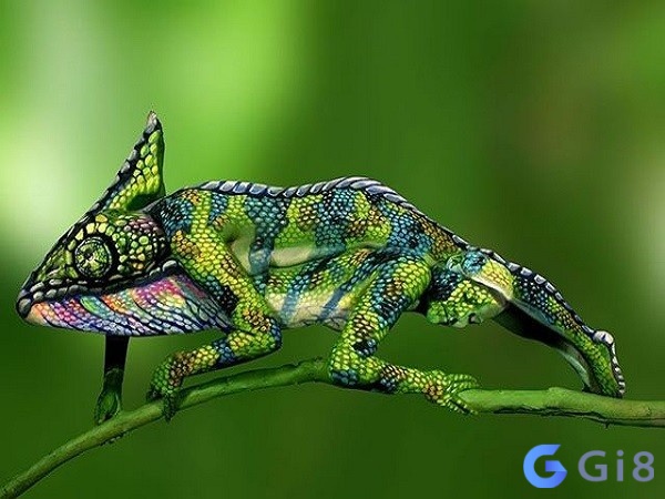 Trong giấc mơ thấy bắt được tắc kè thường biểu thị sự thông minh Trong giấc mơ thấy bắt được tắc kè thường biểu thị sự thông minh