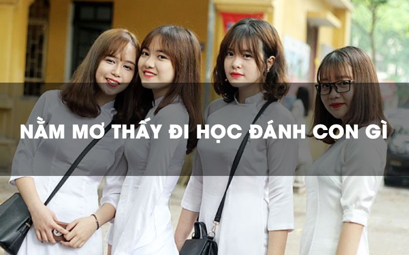 Mơ đi học đánh con gì? Giải mã con số may mắn, tài lộc