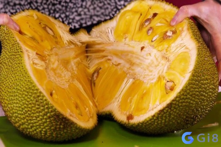 Nằm mơ thấy quả mít chín chứa đựng nhiều tầng ý nghĩa khác nhau Nằm mơ thấy quả mít chín chứa đựng nhiều tầng ý nghĩa khác nhau