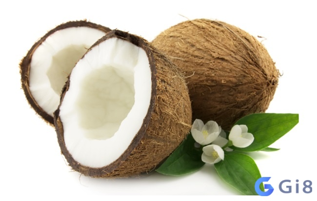 Thử vận may với cặp số 45, 77 khi mộng thấy nhiều trái dừa non Thử vận may với cặp số 45, 77 khi mộng thấy nhiều trái dừa non