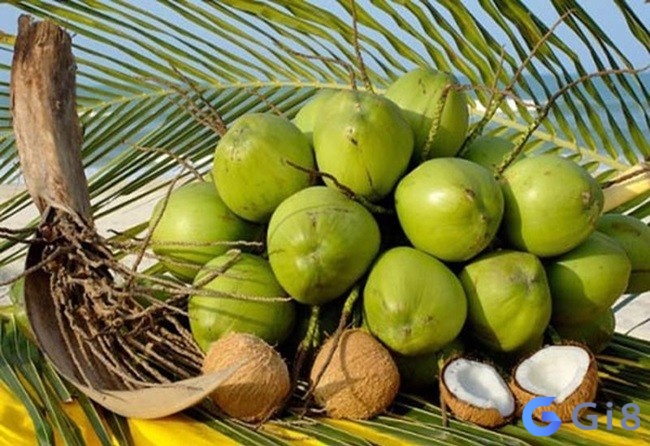 Giấc chiêm bao thấy được cho nhiều dừa liên quan đến cặp số 01, 45 Giấc chiêm bao thấy được cho nhiều dừa liên quan đến cặp số 01, 45