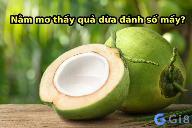 Tổng hợp những con đề phát tài liên quan đến giấc chiêm bao thấy nhiều trái dừa Tổng hợp những con đề phát tài liên quan đến giấc chiêm bao thấy nhiều trái dừa