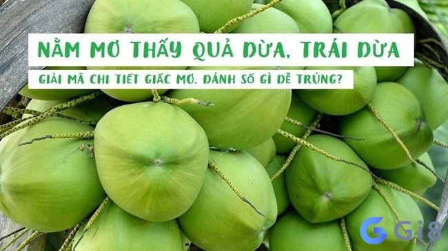 Mơ thấy nhiều trái dừa là hung hay cát? Gi8 luận giải