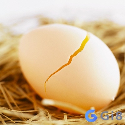 Nằm mơ thấy trứng gà bị nứt cho thấy có người ghen ghét bạn Nằm mơ thấy trứng gà bị nứt cho thấy có người ghen ghét bạn