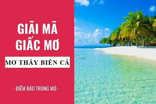 Nằm mơ thấy biển đánh con gì? Tìm số đổi đời cho dân chơi
