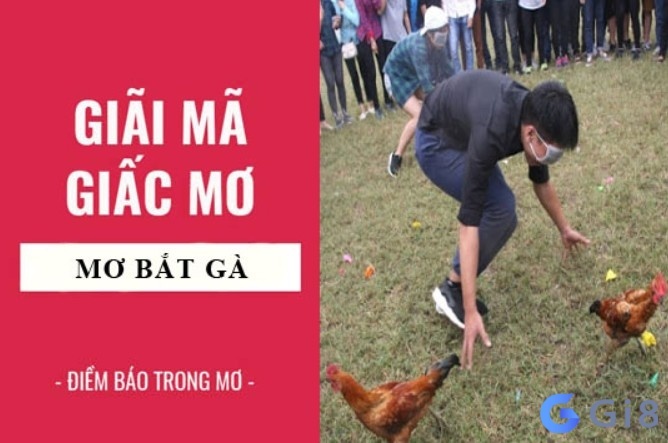 Mơ bắt được gà đánh con gì? Điềm báo ý nghĩa giấc mơ