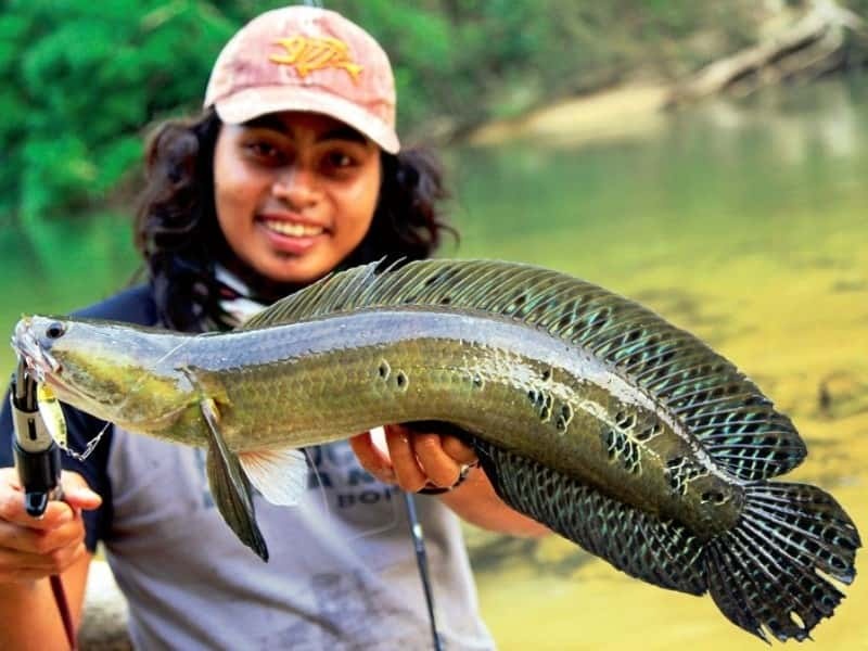 Nằm mơ thấy bắt được cá là điềm gì? Đánh số mấy?