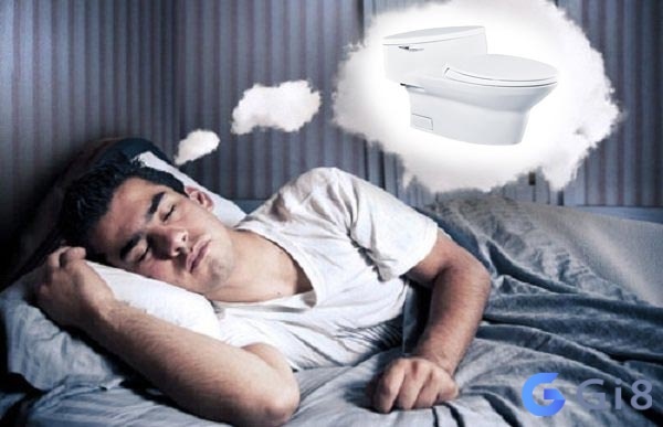 Nằm mơ thấy đi cầu liệu có phải là điềm báo? Giải mã giấc mơ