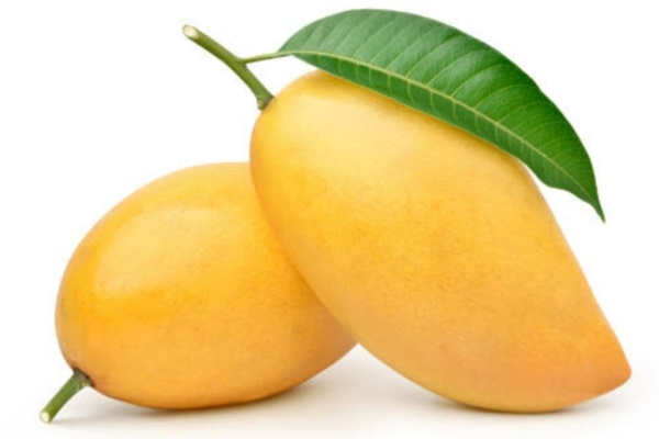 Nằm mơ thấy xoài chín đánh số gì? Là lành hay dữ?